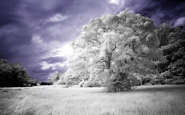 Is Suffering An Option?