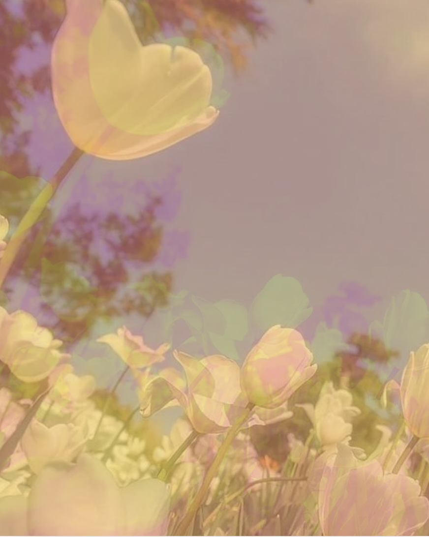 Awaken the Dreamer Within: Create Your Life with Intention